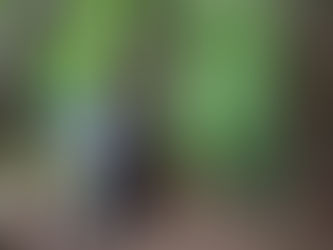 A Memorable Lakeside Escape at 360° Issara