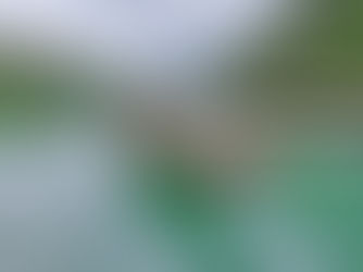 Heartfelt Thanks for Your 3D2N Khao Sok & Cheow Larn Lake Adventure