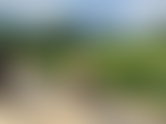 A Blend of Tranquility & Adventure: The Full Khao Sok Experience