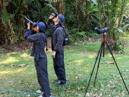 Birdwatching Through the Natural Beauty of Sri Phang Nga
