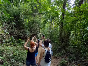 An Unforgettable Journey Through Khao Sok & Cheow Lan Lake