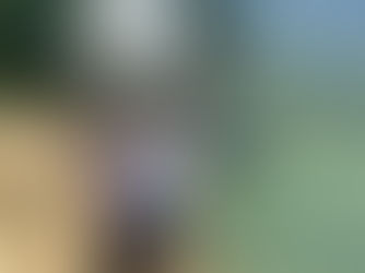 Unforgettable Khao Sok & Cheow Lan Lake Adventure!