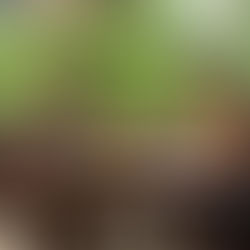 Your Khao Sok Memories Will Stay with Us – Thank You for Choosing Us!