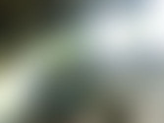 Thank You for Exploring Cheow Lan Lake & Pakarang Cave!