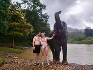 A Meaningful Elephant Bathing Experience – Connecting with Nature in a Truly Special Way