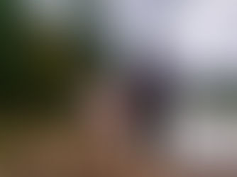 A Meaningful Elephant Bathing Experience – Connecting with Nature in a Truly Special Way