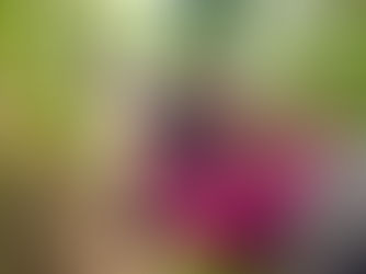 A Memorable Stay at 360 ISSARA Floating Resort – Thank You!