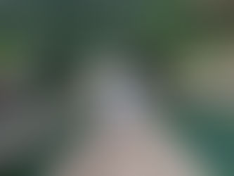 Thank You for Experiencing The Laguna Chiewlarn!