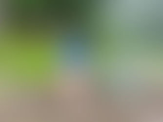 A Peaceful One-Night Escape Amid Nature – Thank You for Your Stay