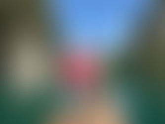 A Gentle Riverside Retreat Where Nature Feels Close