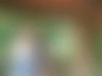 Unforgettable Nature Escape: The Full Khao Sok Experience