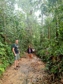 Guided jungle trekking experience in Khao Sok National Park