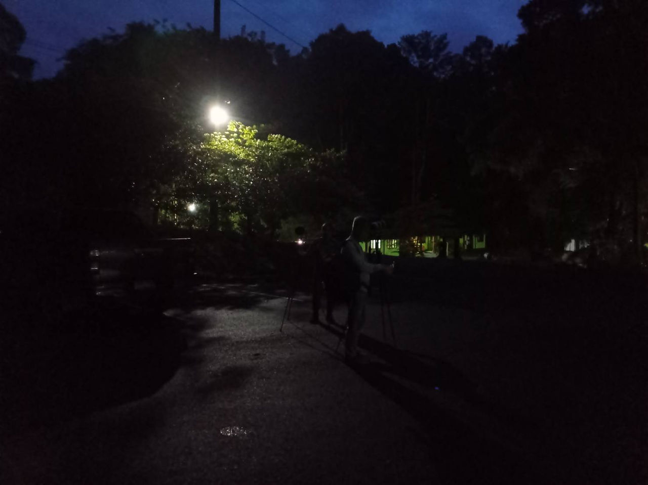 Birds watching in Sri Phang-Nga and Krung Ching 4 days 3 night