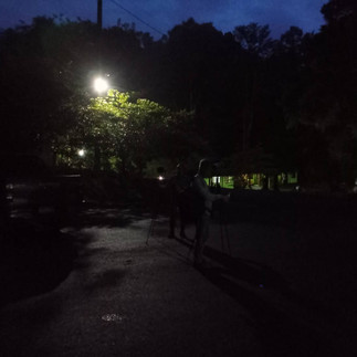 Birds watching in Sri Phang-Nga and Krung Ching 4 days 3 night