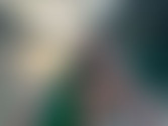 Thank You for Exploring Khao Sok and Cheow Lan Lake with Us!