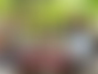 Thank You for Your 4 Days 3 Nights Khao Sok – Cheow Larn Lake Adventure