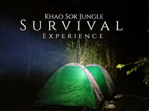 Khao Sok Jungle Survival Experience: A Thrilling Adventure into the Heart of Thailand’s Ancient Rainforest