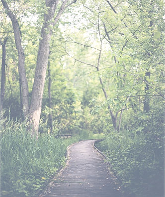 nature mother earth