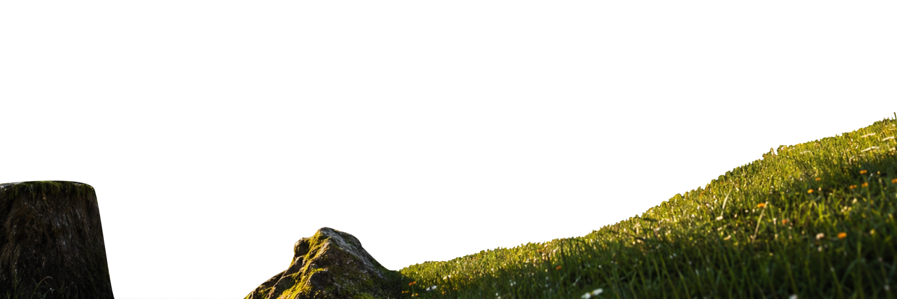 Medival Jungle House Front ZenithAVGCXR Unreal Engine 5.webp