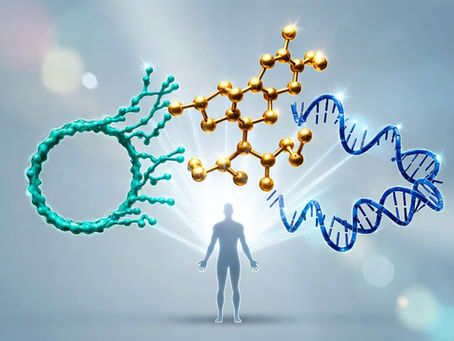 Sermorelin vs Tesamorelin vs CJC-1295/Ipamorelin: Which One Is Right for You?