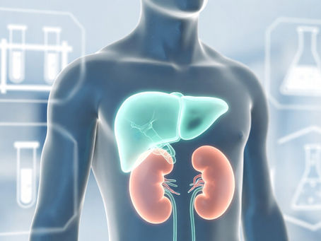 Liver Enzymes and Kidney Function: Why Monitoring Still Matters with Injectable Peptides