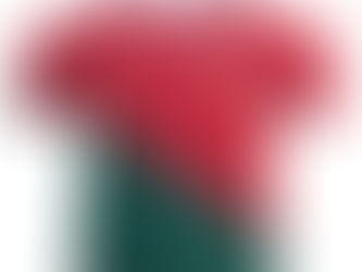 22/23 Portugal Home Jersey