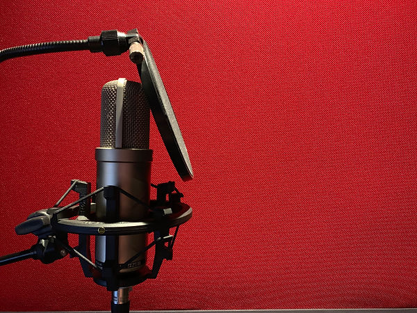 Peachtree Sound Microphone.jpeg