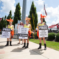 Cow Appreciation Day.jpg