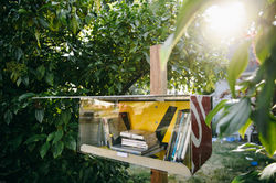 my-little-library-rfm-7355