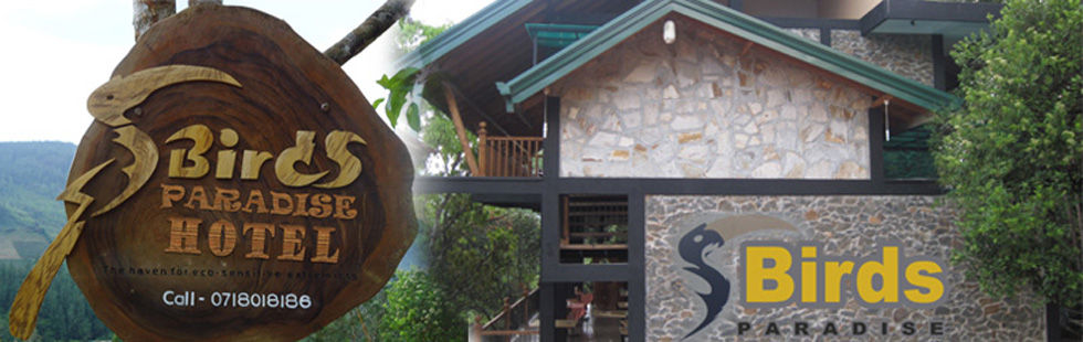 Birds Paradise Hotel