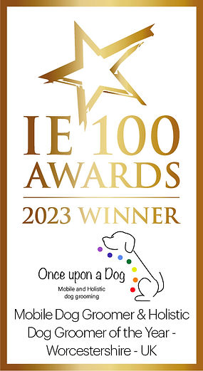IE 100 Awards 2023 Winner. 