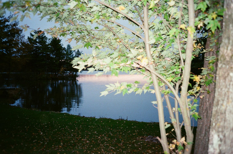 88570014.jpg