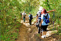 Em fila Romeiros entram mata a dentro.jpg