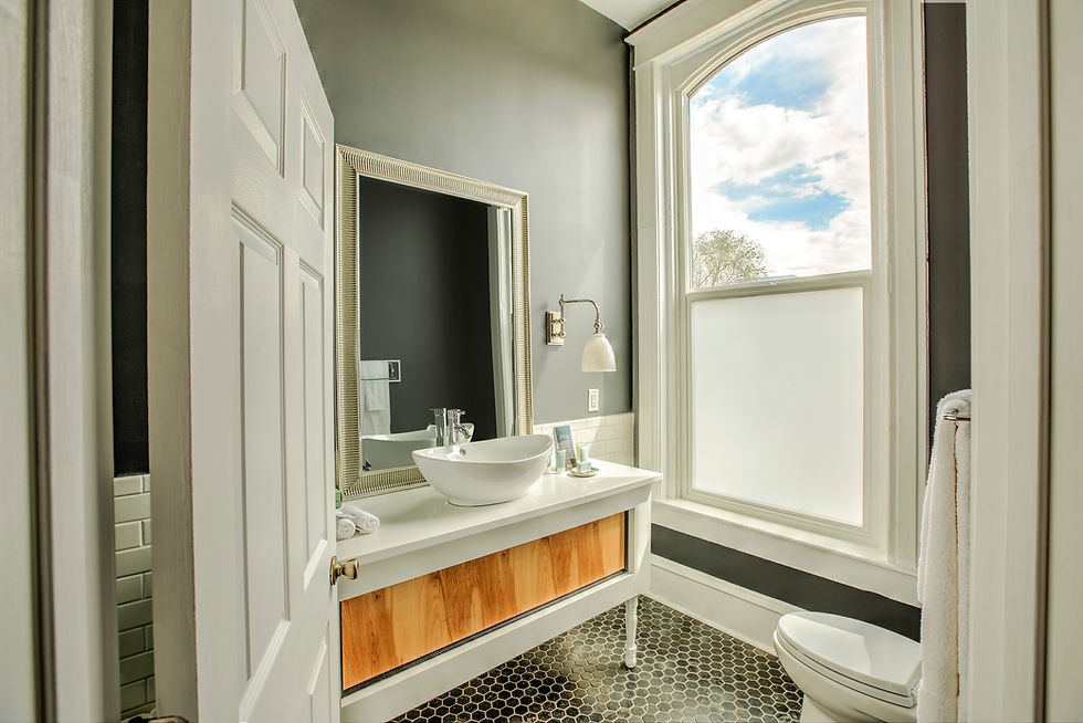 Ebony BathRoom Toilet 002.jpg