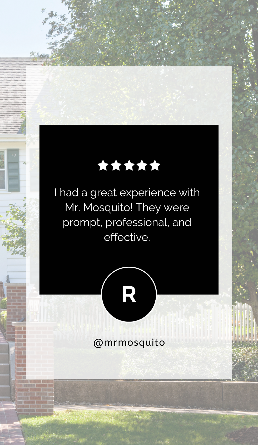 Customer Review for Mr. Mosquito