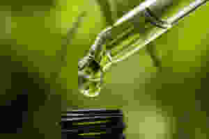 South Florida CBD Oil
