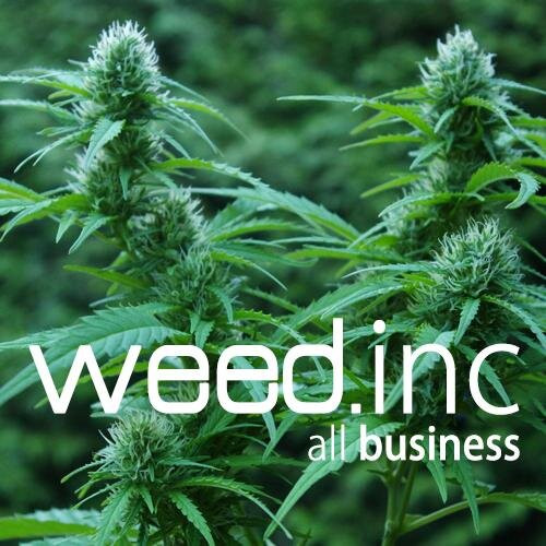 Florida's Green Rush Industry Investments