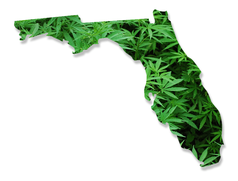 Florida Medical Marijuana Breakdown