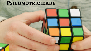 DIFICULDADES NA APRENDIZAGEM E A PSICOMOTRICIDADE                       