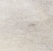 Antique Gold for Studio Kestrel Interior Design in New York City.png