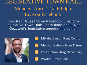 Join Rep. Guzzardi on Facebook Live for a Legislative Town Hall TONIGHT!