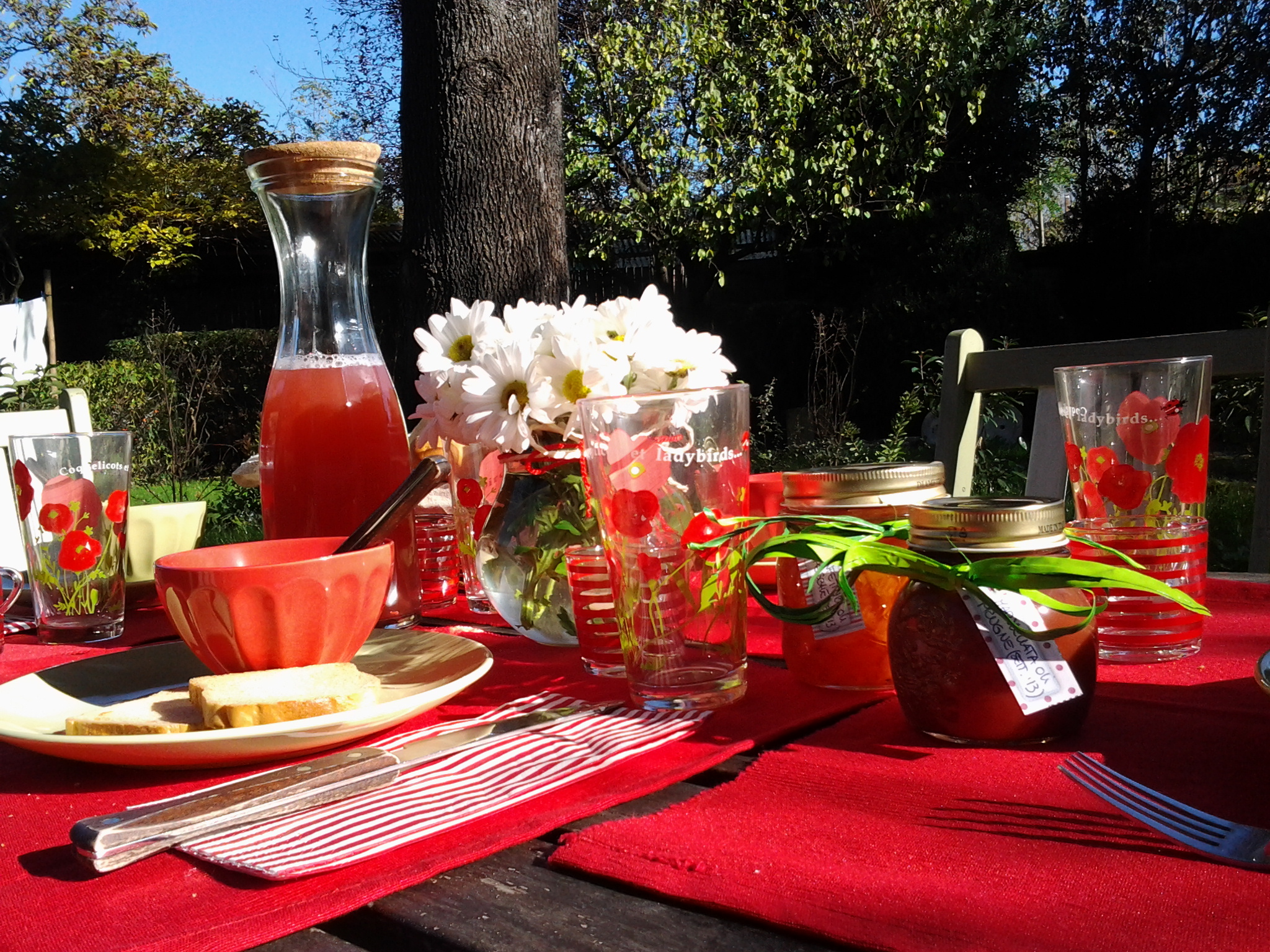la Colazione Il Pettirosso B&B