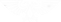 aquila.png