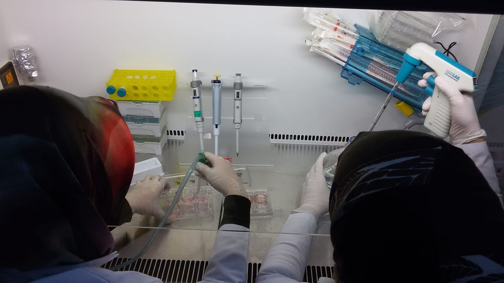 Cell Lab.