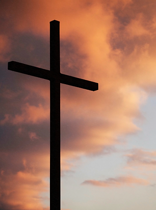 Screenshot 2026-03-06 at 09.11.29.png