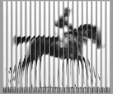 film&animation.gif