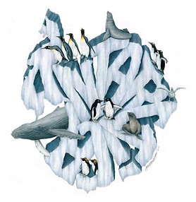 Antarctica continent with animals