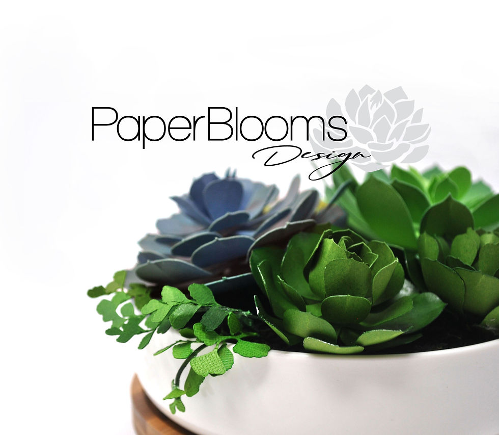 PaperBlooms Design Columbus, OH Paper Flower + Succulent Creations