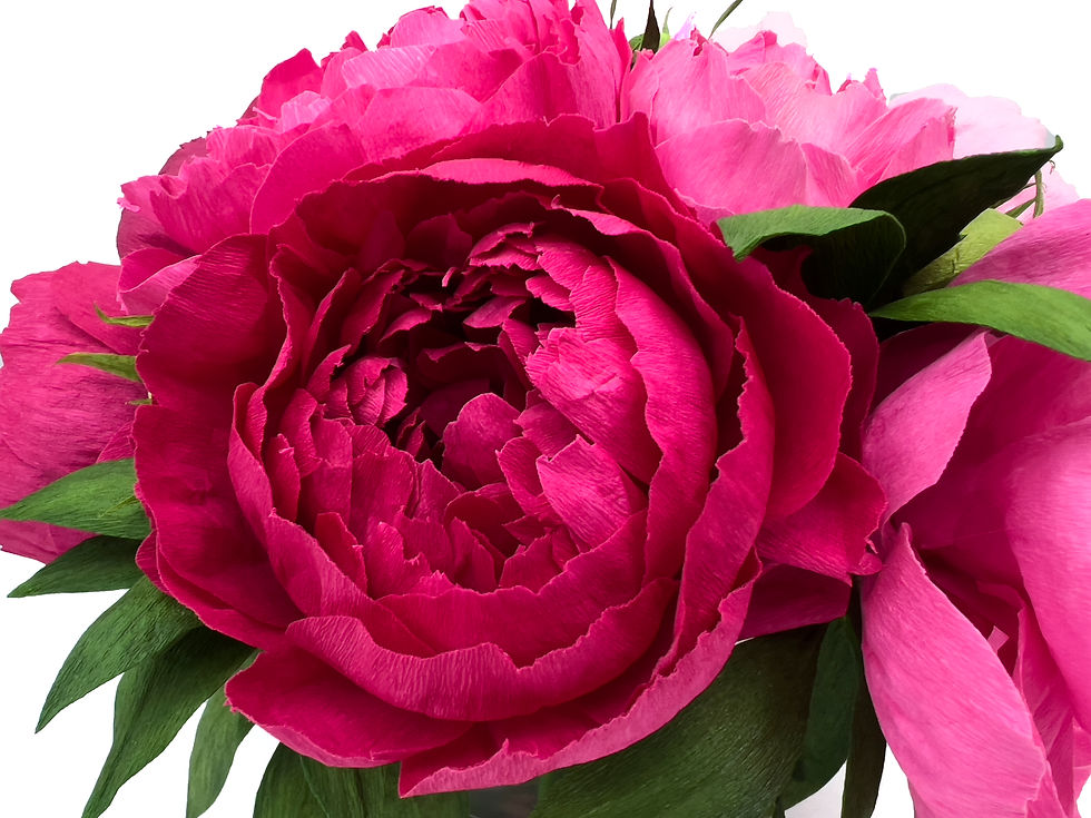 Thumbnail: Raspberry Charm + Double Pink Peony Display | Garden Mix Collection
