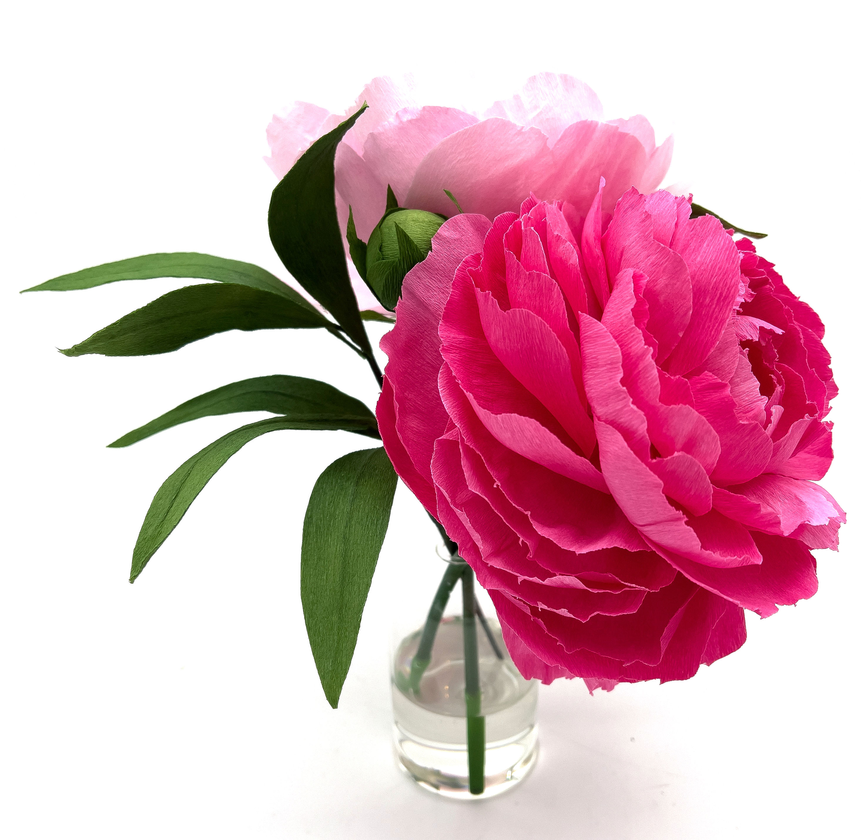 "Double Pink" Peony Mix | Duo Pick Collection